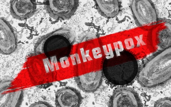 Arkansas Confirms Its First Monkeypox Case; US to Roll Out Nearly 300,000 Vaccines