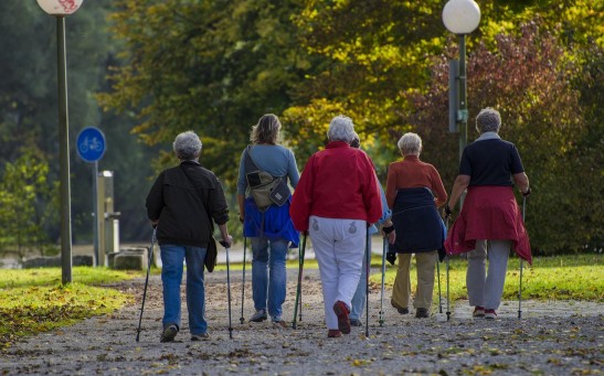  Nordic Walking Proven Superior to Other Kinds of Exercise to Improve Heart Health, Long-Term Functional Capacity
