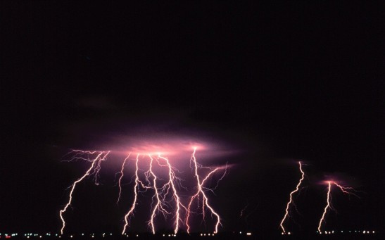  Lightning Strikes Could Reverse Damage to Plants Caused by the Heatwave, Here's How