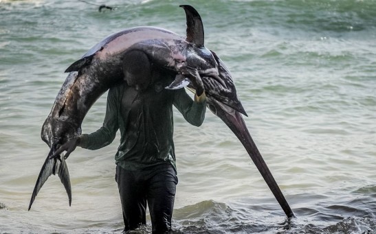 SOMALIA-FISHING-FEATURE