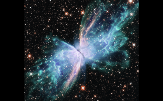 NGC 6302: THE 