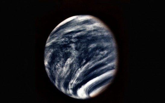 Venus on Black Background