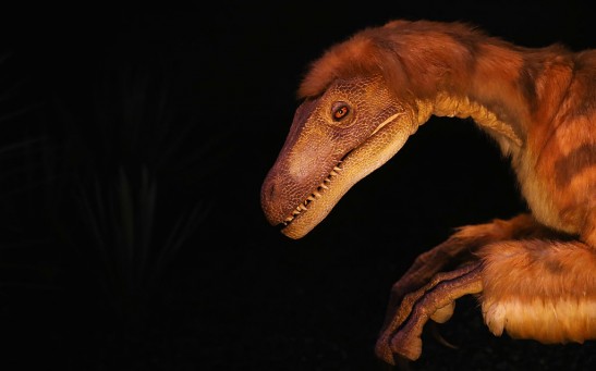  Scientists Working on a Museum Dinosaur Reveal More Unusual Discoveries As They Continue to Study It