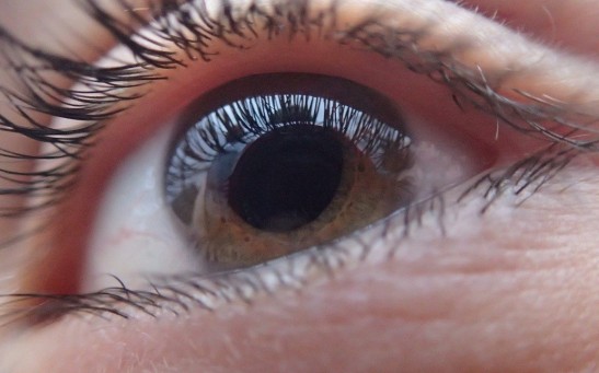  Bioengineered Cornea from Pig Skin Restores Sight in 20 Blind, Visually-Impaired People