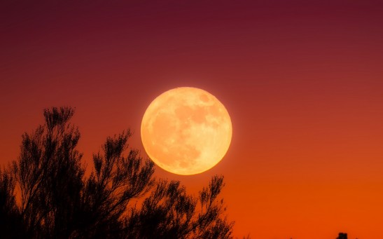 Harvest Moon Full Moon 