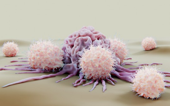 Natural killer cells attacking a cancer cell, illustration - stock photo