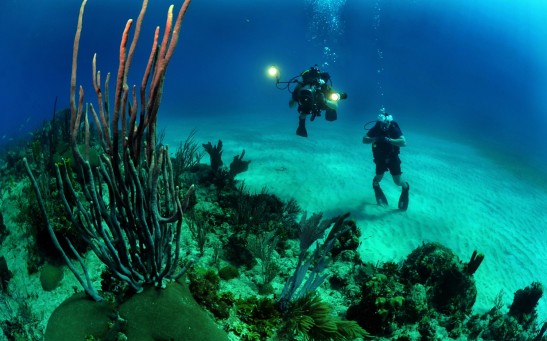 Ocean Underwater Divers