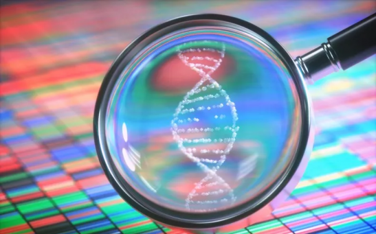 Stock image of DNA analysis.