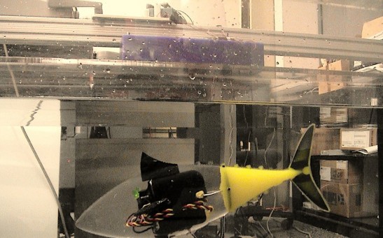 Soft Under Actuated Fish-like Robot