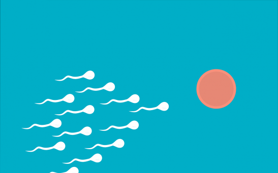 Collective Swimming of Sperm Help Them Outpace Others in Their Race to Fertilize an Egg Cell