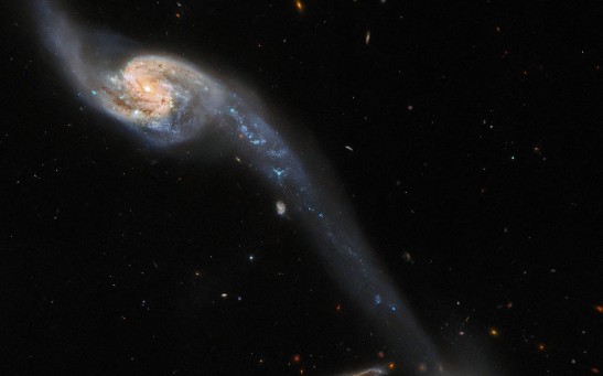  Hubble Space Telescope Inspects Two of the Galaxies in a Galactic Triplet 200 Million Light-Years Away