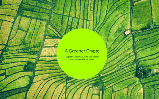 Bitgreen-green-crypto 
