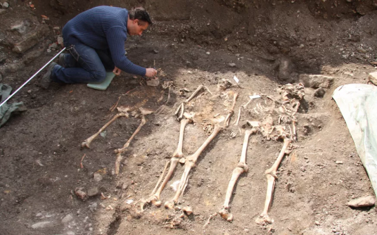 The archaeological excavations at the site of the mediaeval Jewish cemetery in the German city of Erfurt unearthed 47 graves; ancient DNA was recovered from the teeth of 33 individuals.