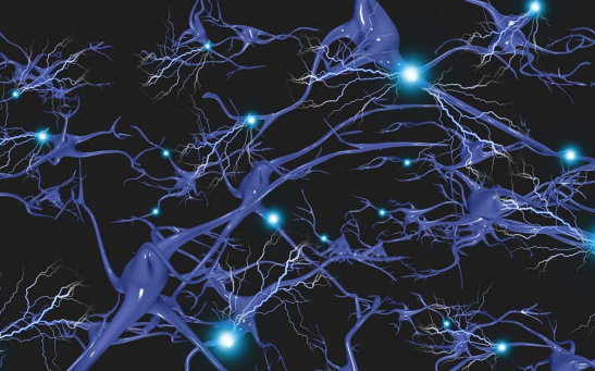 In Huntington’s disease, toxic accumulations of the huntingtin protein produced by the mutated HTT gene results in progressive destruction of neurons in a part of the brain responsible for regulating movement. 