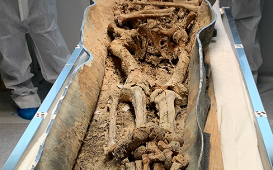 Opening of the sarcophagi at the Toulouse forensic medicine laboratory