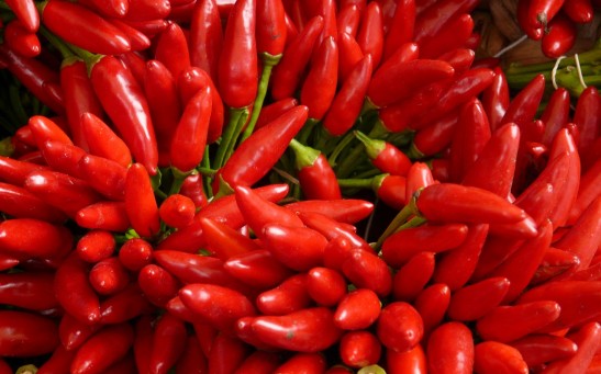  Capsaicin in Chili Pepper Could Help People Regain Their Sense of Taste Lost Due to COVID-19