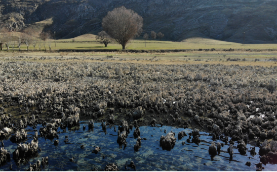 A view of microbialites in Lake Van that emerged from the bottom due to the decline in water levels, in Van, eastern Türkiye, 