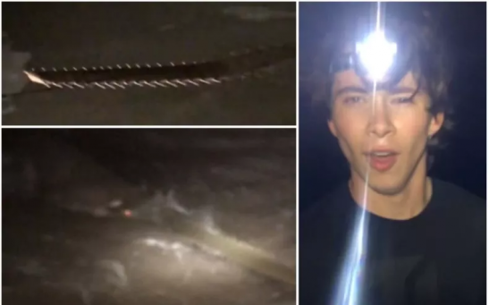 Left: stills from the TikTok video showing the smalltooth sawfish. Right: Daniel Nuzum after catching his first ever fish.