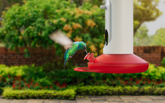 AI bird feeder that captures and feeds hummingbirds in the future!