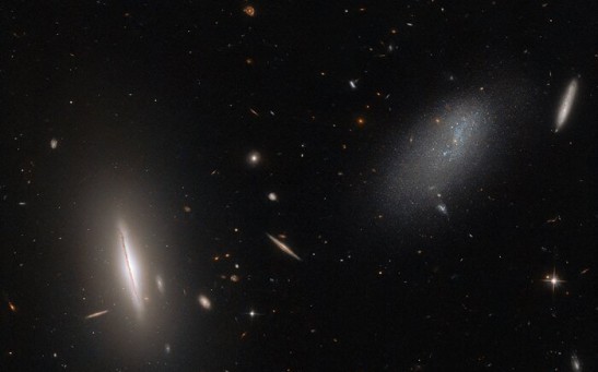  Hubble Space Telescope Focuses on Neighboring Galaxies on Its Newly Released Image