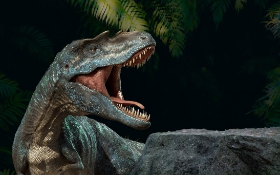  Dinosaur Brains May Have Been Packed With Neurons as Modern Primates, Suggesting T. Rex Was Smarter Than Previously Thought