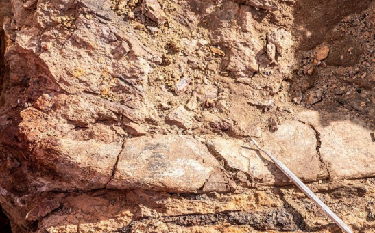 A view of a fossil at the area where scientists discovered megaraptor fossils at 'Guido' hill in the Chilean Patagonia area, close to Torres del Paine park, in Magallanes and Antarctic region, Chile.