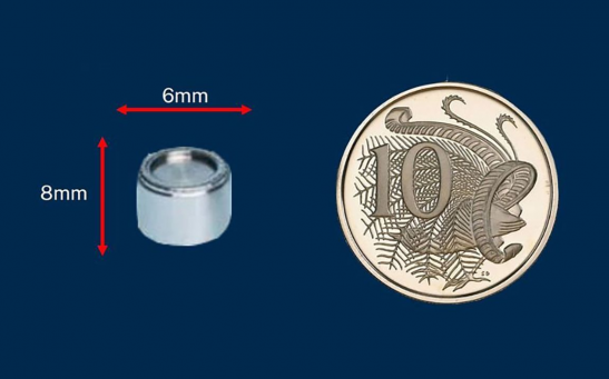 An illustration provided by Western Australia's Department of Health shows the size of the capsule compared to a coin.