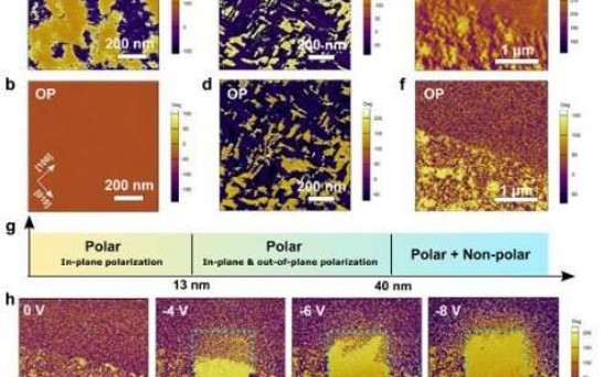 Piezoresponse force microscopy (PFM) of emergent ferroelectricity and phase coexistence in NaNbO3 membranes. Lateral and vertical PFM phase images obtained for a) and b) 13 nm, c) and d) 40 nm, and e) and f) 100 nm thick membranes, respectively. g) 