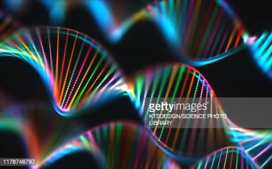 DNA (deoxyribonucleic acid) molecules, computer illustration.
