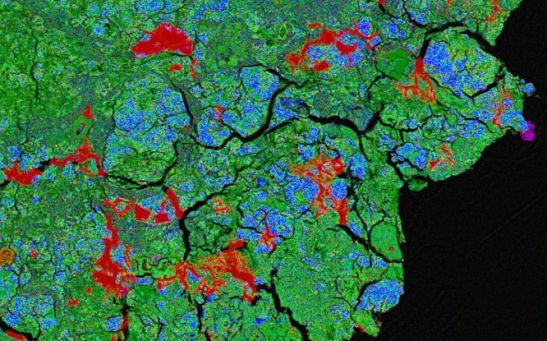 An image of a sample of the meteorite showing terrestrial alterations in red and purple. 