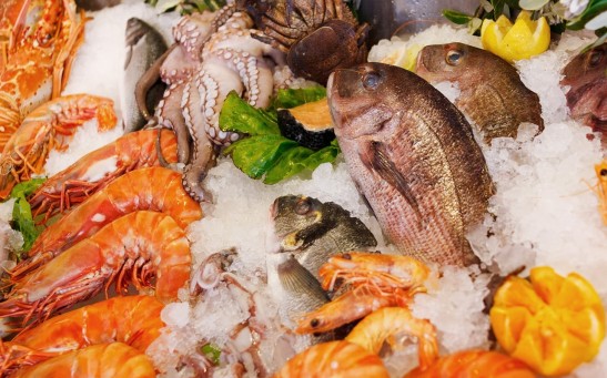 Foods From the Ocean and Freshwater Environments Reduce Nutritional Deficits, Decrease Greenhouse Gas Emissions