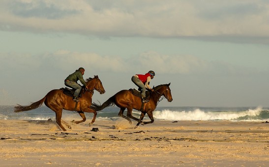 5,000-Year-old Burial Mounds of the World's Earliest Horseback Riders Found in Asia and Europe