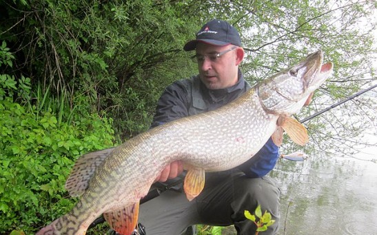 40-Pound Northern Pike Reeled by an Angler Breaks 13-Year Fishing Record in Idaho