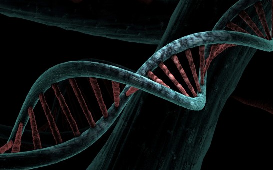 Novel Cancer Treatment Uses CRISPR-edited Fat to Shrink Tumor in Mice