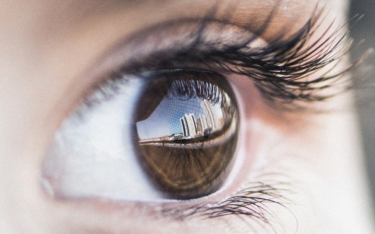 Human Eye Can Play Tricks to the Mind: Visual Perception May Be Different From the Real World