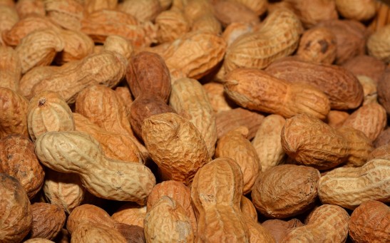 Novel Peanut Patch Shows Promising Results in Subduing Allergic Reactions in Kids With Nut Allergies