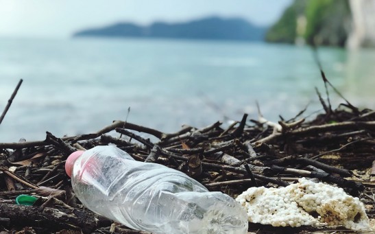 Microbes That Can Degrade Plastics at Low Temperatures Could Be the Key in Solving Earth's Waste Problem