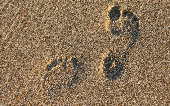 Footprints