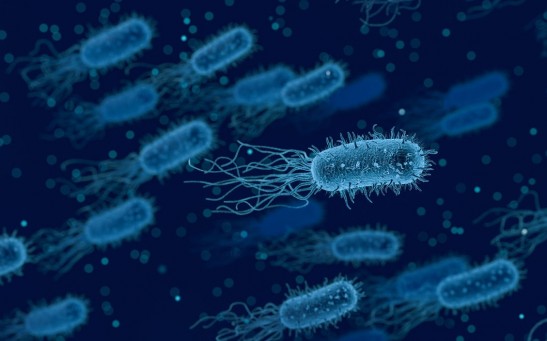 Antibiotics With Modified Peptides Could Help Tackle Drug-Resistant Bacteria