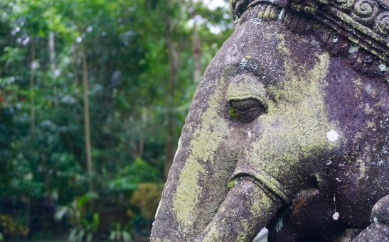 2,300-Year-Old Elephant Statue Unearthed in Eastern India Sheds Light on Buddhist Heritage