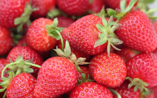 Is Strawberry a Fruit? Solving the Botanical Conundrum of the World's Most Consumed 'Berry'