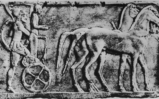 Ancient Charioteer