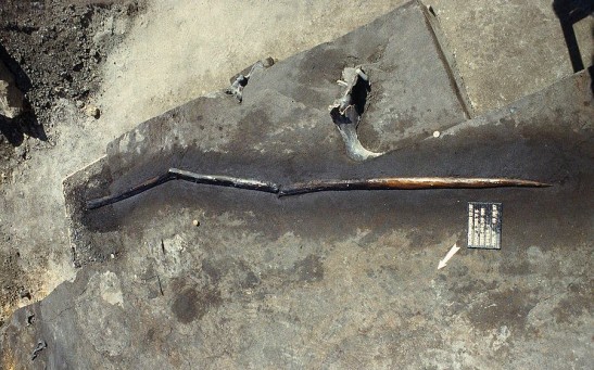 300,000-Year-Old Throwing Stick Unveils Early Humans as Skilled Woodworkers and Hunters
