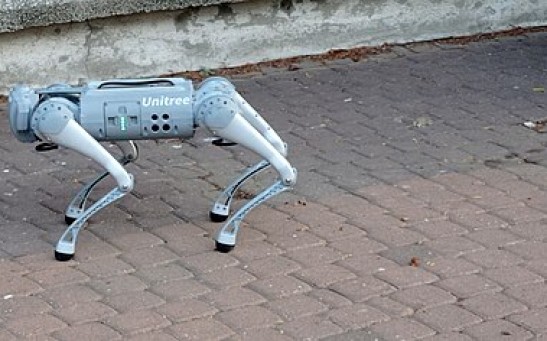 Go2 Robot Dog Can Talk, Perform Handstands, and Take Pictures of Its Owner; Is This Super Intelligent Companion the Pet of the Future?