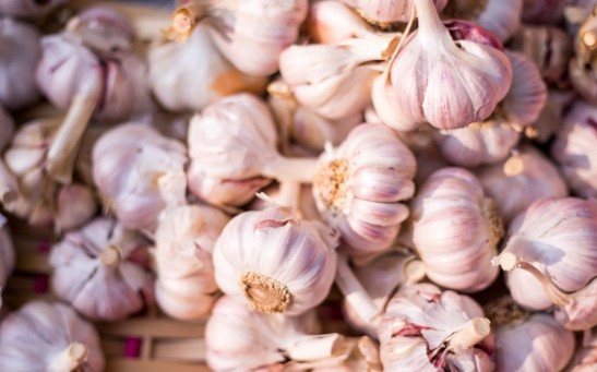 Organic Garlic Unveiled: Exploring Its Top Health Benefits and Superfood Secrets