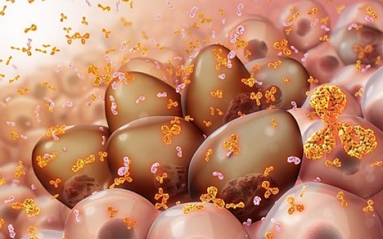 RNA-Based Drug Delivery System Targets Cancer Cells Using Lipid Nanoparticles, Provides New Approach in Treating Multiple Myeloma