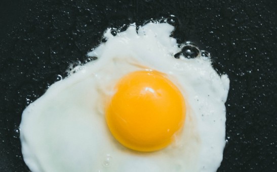 egg