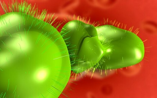Novel Antiviral Drug Kills Viruses by Bursting Their Bubble-Like Membranes, Provides New Approach in Fighting Infections