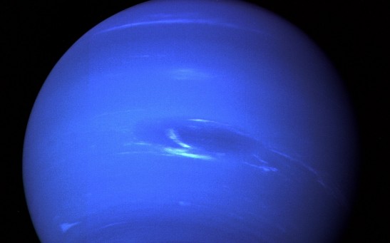 Earth-Based Observations Reveal the Secrets of Neptune's Dark Spot and Its Puzzling Bright Companion