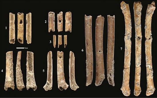 12,000-Year-Old Flutes Made From Bird Bones Discovered in Israel; Show Glimpse of Ancient Natufian Culture